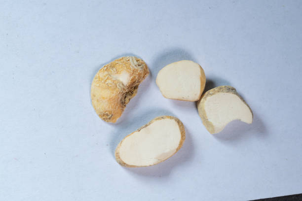 chinese medicine  Thunberg Fritillary Bulb
