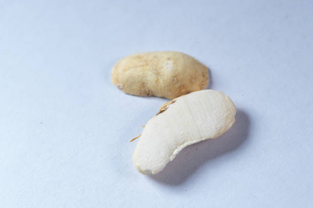 Closeup of Indian root fruit 'Kandmool' (Agave Americana), isolated on a white background.