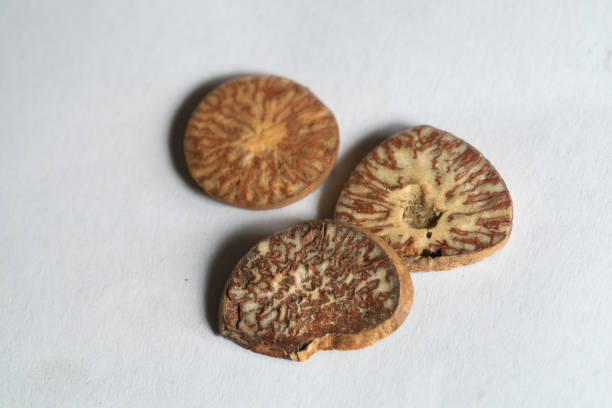 chinese medicine   areca-nut, Betel nut