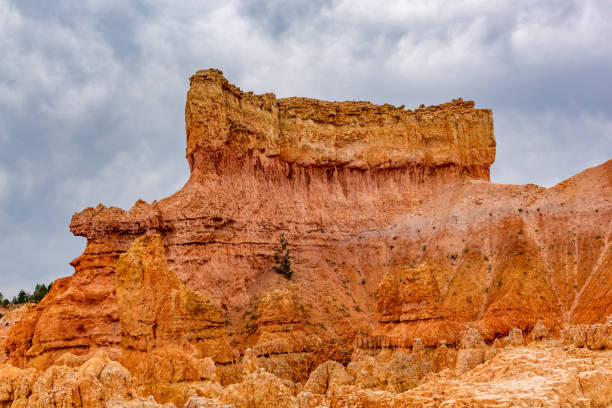 Bryce Canyon national park, Utah, USA.