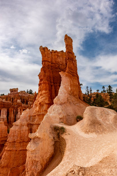 Bryce Canyon national park, Utah, USA.