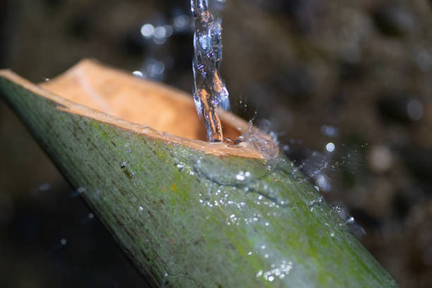 steel faucet