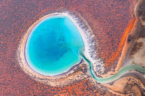 istock Little Lagoon in Shark Bay, Western Australia 2193027371