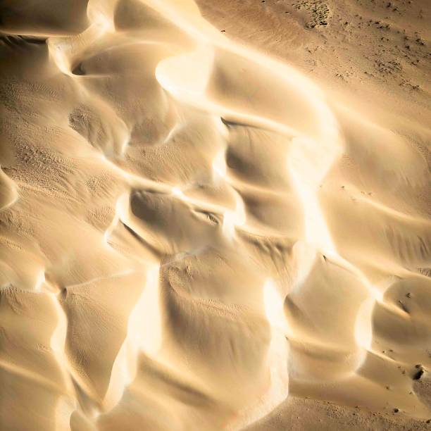 istock Sand Dunes in Shark Bay, Western Australia 2193027475