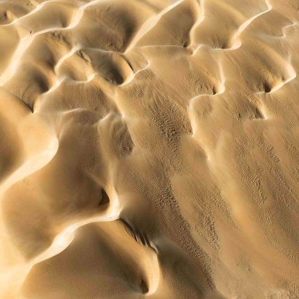 istock Sand Dunes in Shark Bay, Western Australia 2193027484