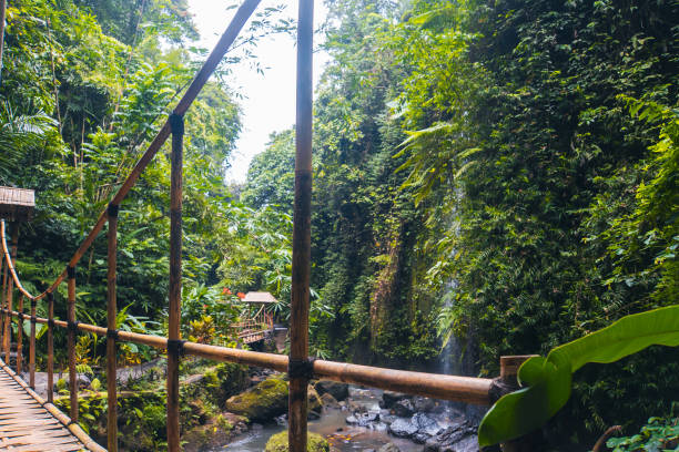 istock Traditional bamboo bridge inTibumana waterfall,bali 2193028058