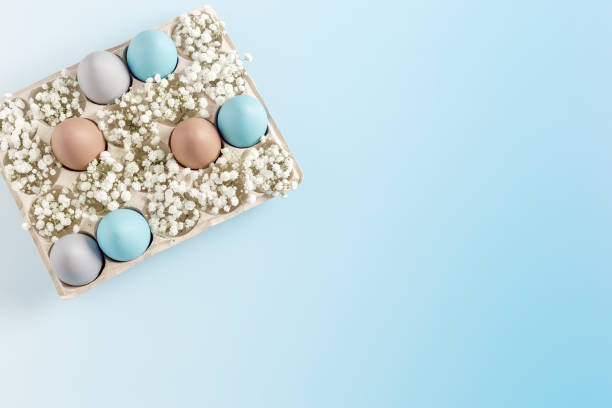 Easter Egg Assortment in Carton with White Baby's Breath on Light Blue Background. Pastel colored dyed eggs in package, spring holiday photo, tender soft hues, celebration food and white flowers