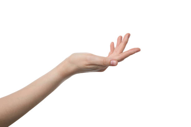 istock PNG,female hand, isolated on white background 2193038721
