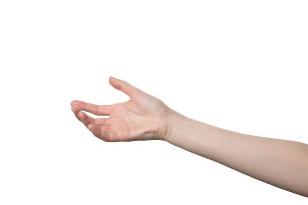 istock PNG,female hand, isolated on white background 2193038975