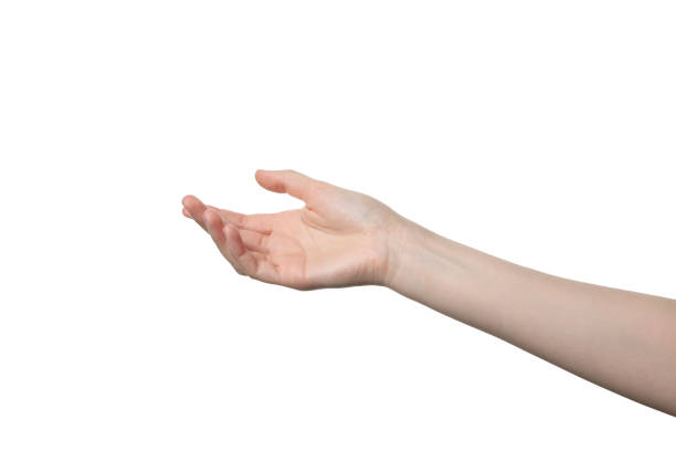 istock PNG,female hand, isolated on white background 2193039352