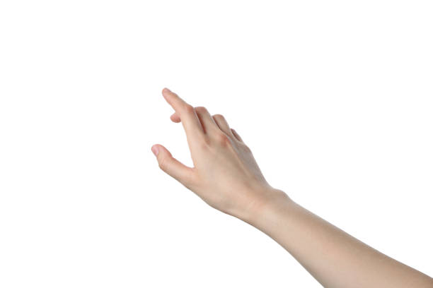istock PNG,female hand, isolated on white background 2193039863