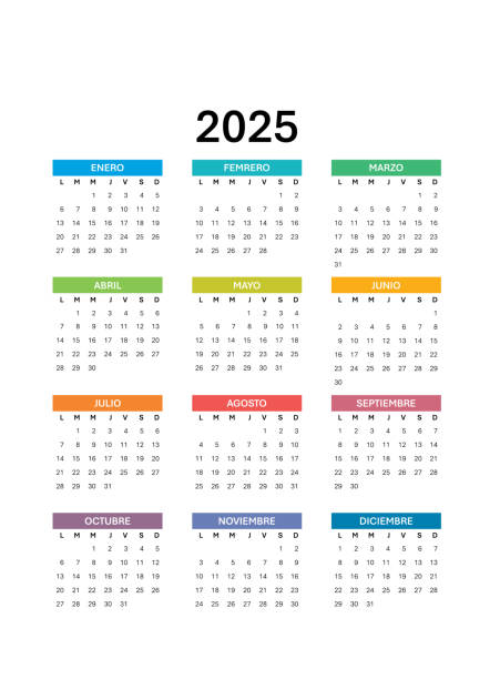 2025 Spanish calendar 2025 Spanish calendar Calendario 2025 Español 2025 Spanish calendar Página única Planificador 2025 Calendario imprimible january in spanish stock illustrations
