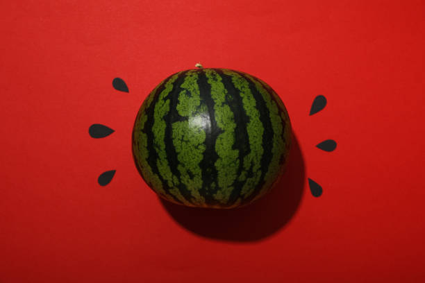 Concept of summer time with fresh watermelon