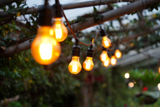 istock Vintage Decorative light bulbs hanging in garden 2193043318
