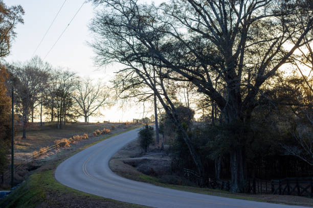 istock Serene Country Road at Sunrise 2193044347