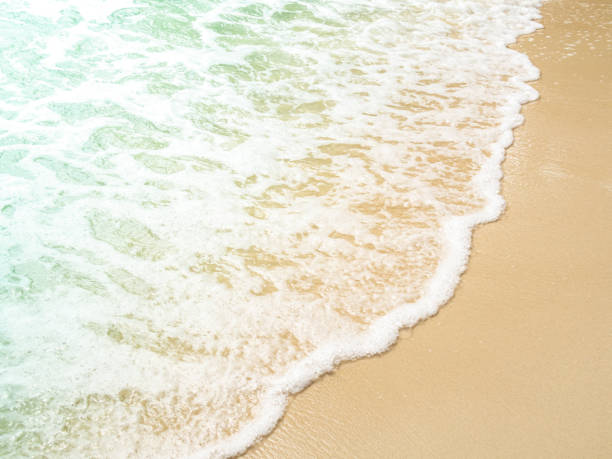 istock Shadow leaf on wave sea blue summer background with sand beach at coast island scene mockup water nature travel vacation holidays tropical, mockup ocean ecosystem energy change environment. 2193045859