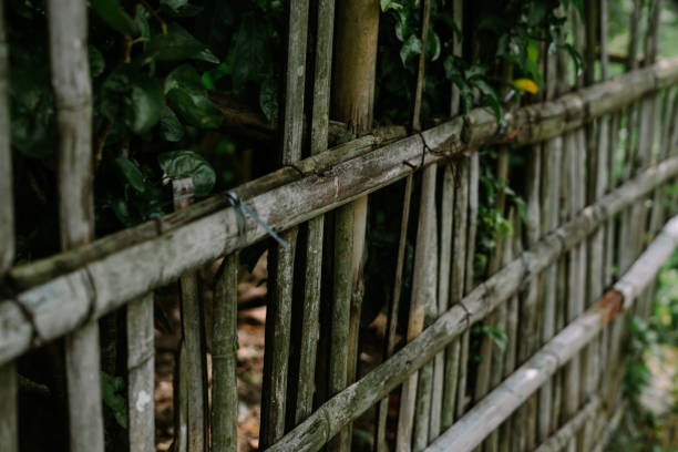 istock A weathered bamboo fence stands as a testament to time, creating a natural a 2193046312