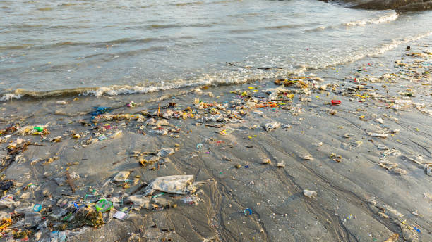 istock Trash, plastic cups and plastic bags at the beach. environmental problem concept and healing the world 2193046346