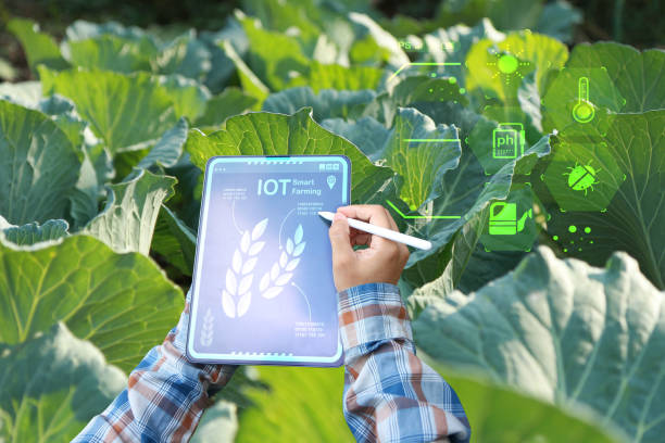 istock Smart farmer or organic farming 2193047868