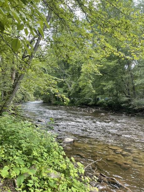 istock Vibrant Small Beautiful River Stream in North Carolina 2193048624