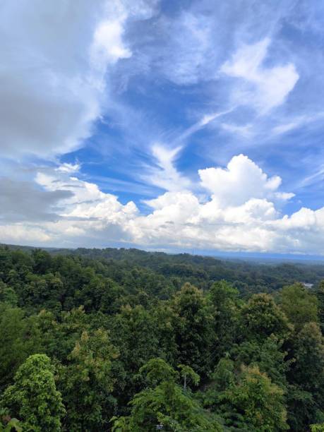 istock Majestic Forest View Under Vibrant Blue Sky and Fluffy White Clouds 2193048878