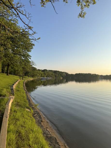 Beach waterfront along vibrant green grass