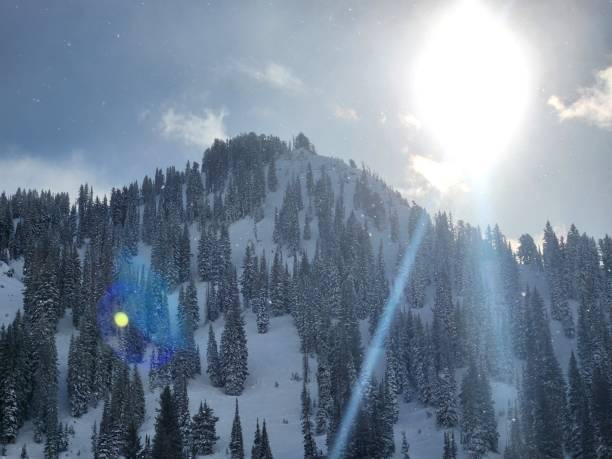 Wasatch Mountains Winter: Sunny Ski Slope