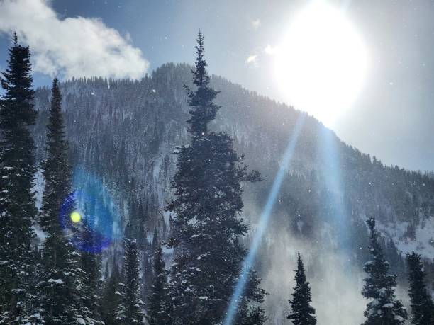 istock Sunny Ski Slope and Snowflake Sparkle 2193049023