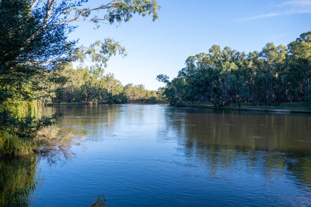istock Murray River between Howlong and Corowa 2193049079