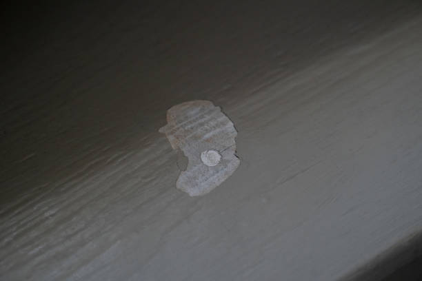 istock Wood paint peeling off a grey wall with a small hole in it 2193049914