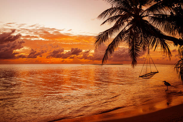 istock Tropical paradise beach with dramatic sky and colorful clouds during the sunset 2193050990