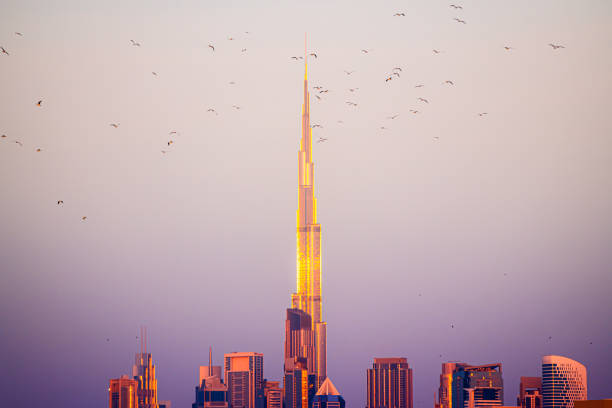 Dubai, United Arab Emirates - January, 18, 2024: Burj Khalifa skyscraper against the pink sky at sunset, Seagulls soaring in the sky above skyscrapers.