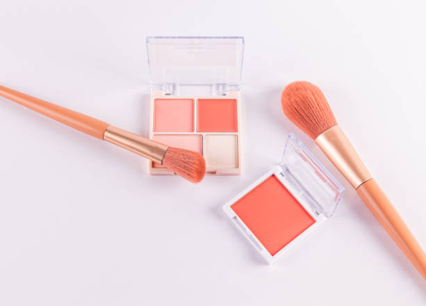 istock Two open packs with peach-tone blush and various light tones on a white background with two professional makeup brushes. top view. space for text. 2193059117