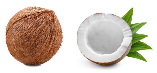 istock Coconut isolated on white backgroundCoconut isolated on white background 2193063350