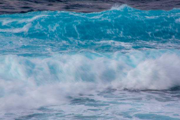 Paddling Bodyboarding in Big Waves on a warm afternoon at Makena Beach