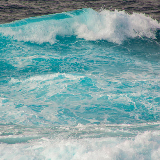 The Pacific Ocean Wave