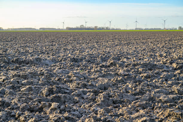 Agricultural fields under a blue sky with light clouds in the Noordoostpolder near Nagele in Flevoland, The Netherlands. The Noordoostpolder is a polder in the former Zuiderzee designed initially to create more land for farming.