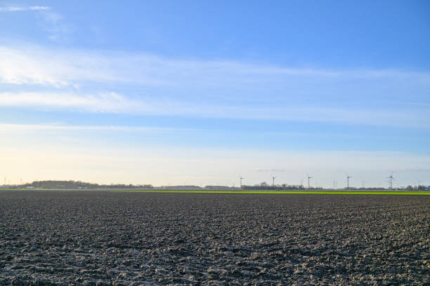 Agricultural fields under a blue sky with light clouds in the Noordoostpolder near Nagele in Flevoland, The Netherlands. The Noordoostpolder is a polder in the former Zuiderzee designed initially to create more land for farming.