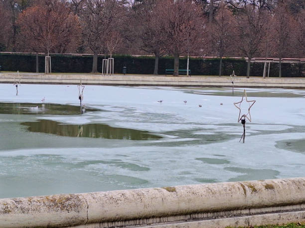 A serene winter landscape showing a partially frozen lake bordered by snow-covered reeds and bare trees. A small wooden bridge and ducks on the icy water add depth and life to this quiet park scene in Veszprém.