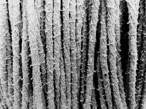 Close up dirty mop floor in black and white style. Pattern and Textured.
