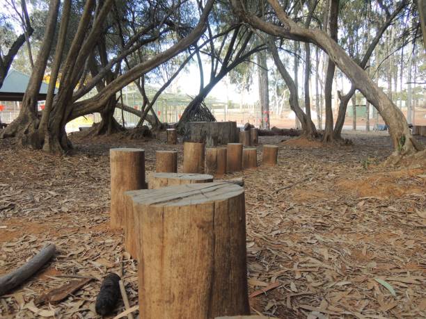 istock Natural playground with wooden logs and trees. 2193072352