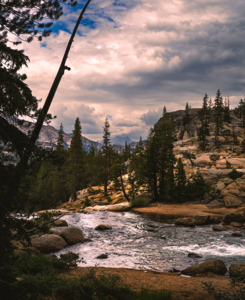 The Tuolumne River rushes through the Yosemite High Country, creating beautiful vistas along the way.