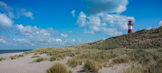 istock Red and white striped lighthouse situated on coastal landscape. Lighthouse stands on grassy dunes under blue sky, overlooking wide sea. Lighthouse West-List on the Ellenbogen (the 