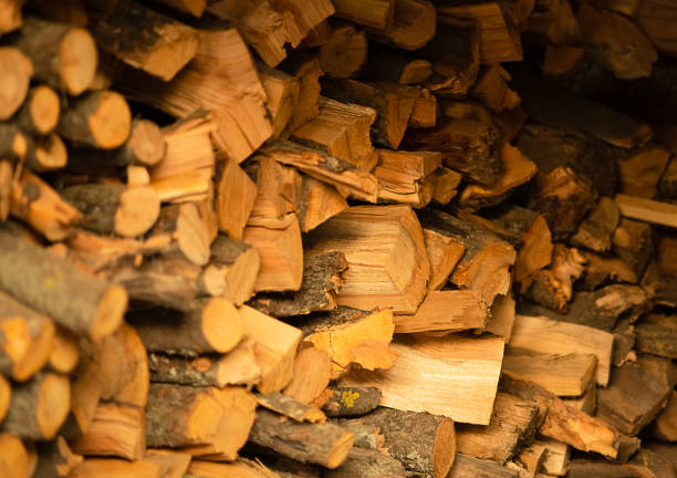 Pile of shredded wood material