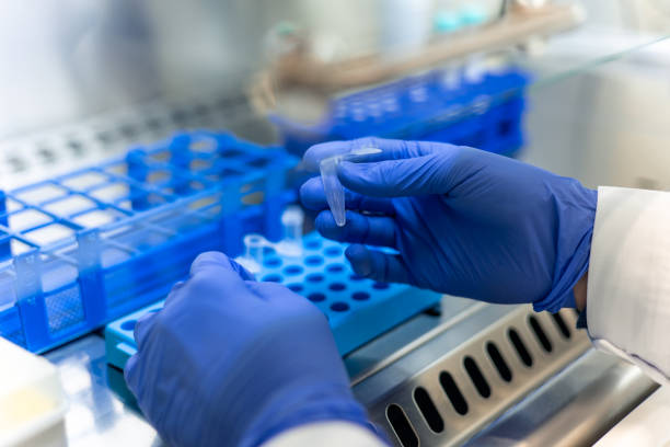 istock Scientist placing eppendorf tube in rack inside a scientific laboratory 2193088328