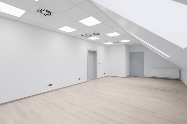 Empty Modern Attic Room with Skylights and Doors