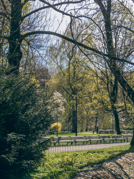 City park in early spring