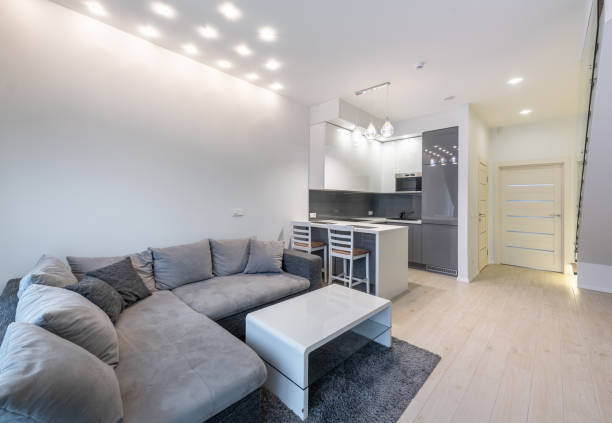 istock Modern apartment living room with open-plan kitchen and gray sectional sofa. Home Interior. 2193092684