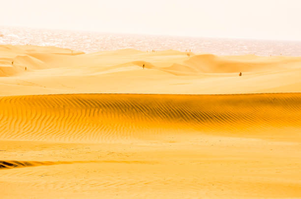 A desert landscape with a beach in the background. The sand is yellow and the sky is light blue