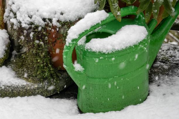 istock Green watering can covered in snow during winter snowfall 2193098207